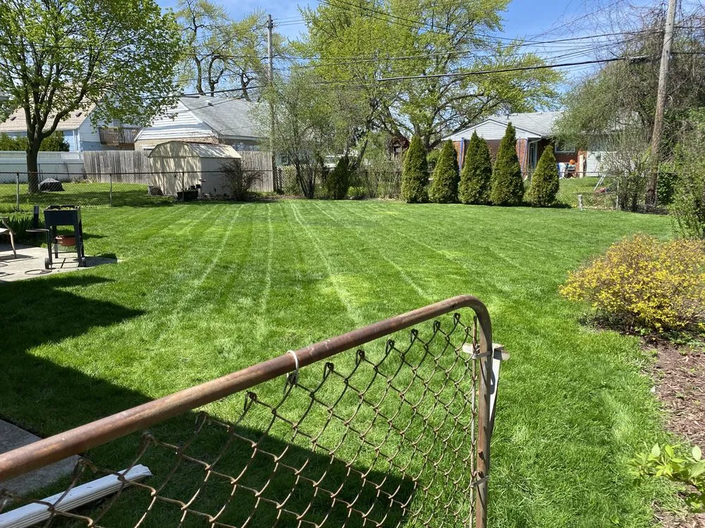 Trusted yard cleanup service in Gibraltar, MI - AllinOne Lawn Care