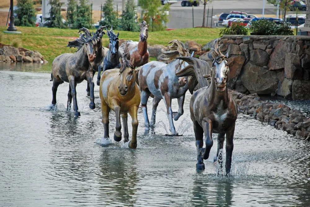 Local yard maintenance experts serving Denison, TX - Allison Landscape & Pool Company