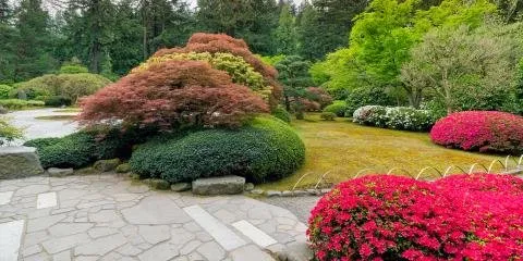 Professional landscaping services for residential properties in Cincinnati, OH by Allison Landscaping