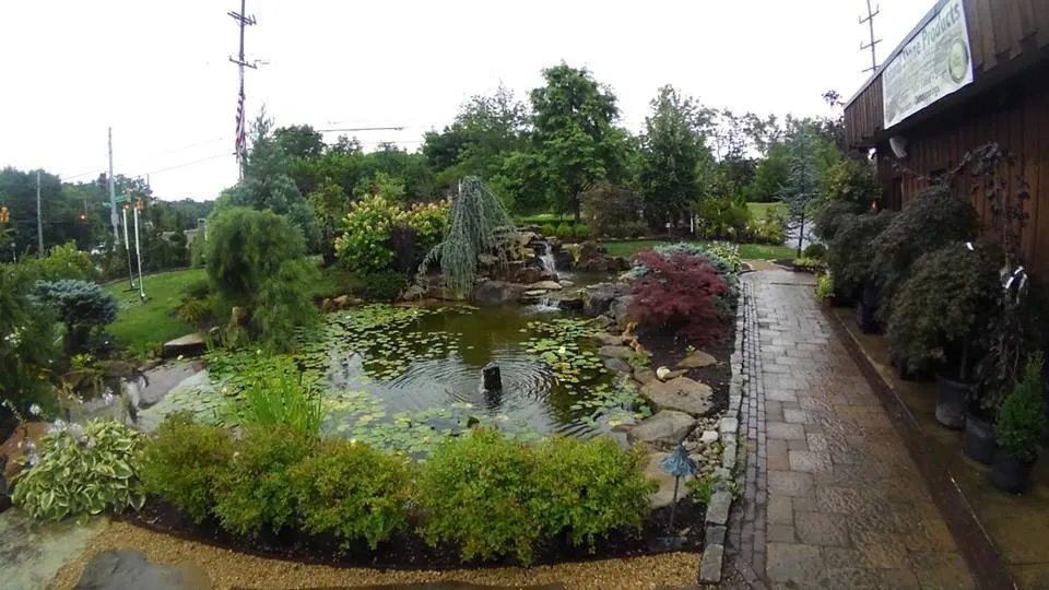 Expert lawn care service in Cincinnati, OH - Allison Landscaping