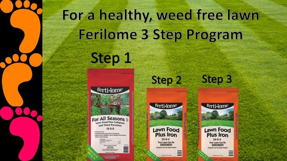 Custom lawn care service for outdoor upgrades across Cincinnati, OH - Allison Landscaping