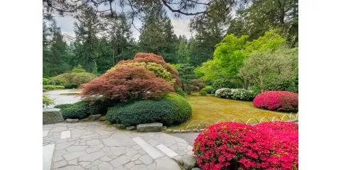 Reliable residential landscaping in Cincinnati, OH by Allison Landscaping