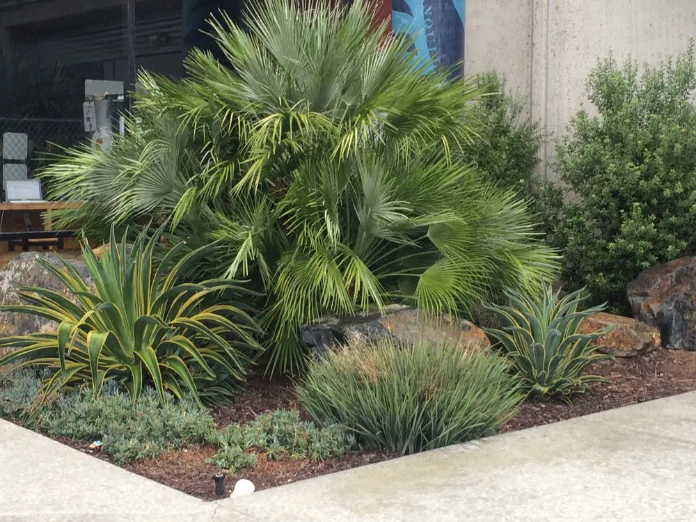 Reliable landscaping services experts serving San Diego, CA - Allison Landscaping