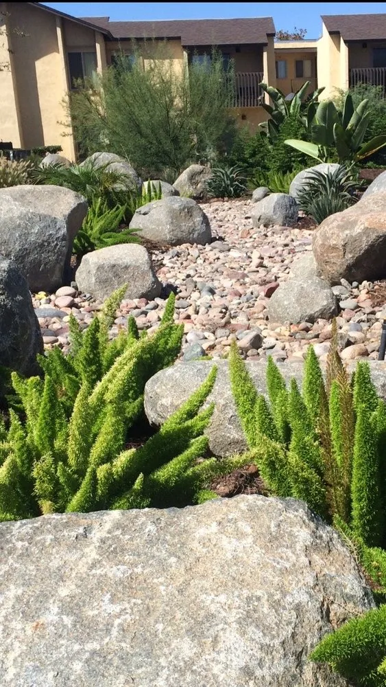 Trusted yard maintenance in San Diego, CA by Allison Landscaping