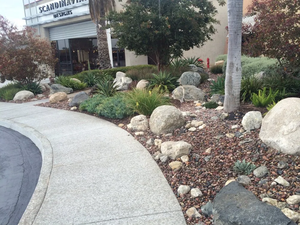 Affordable landscape installation for year-round maintenance across San Diego, CA - Allison Landscaping