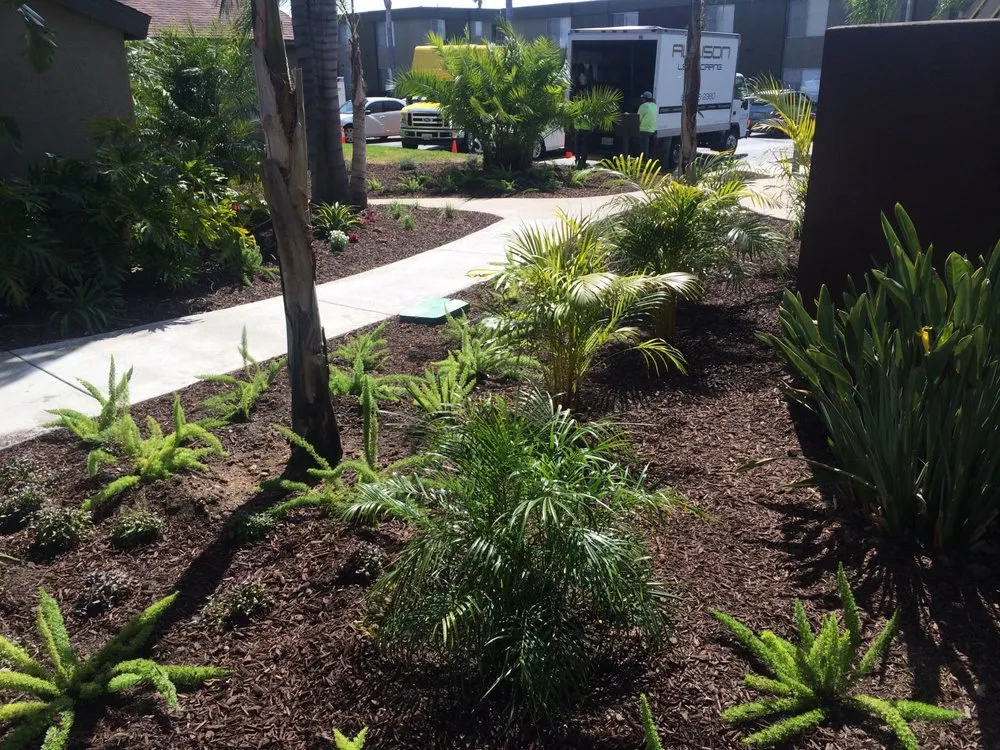 Affordable yard cleanup service for beautiful yards across San Diego, CA - Allison Landscaping