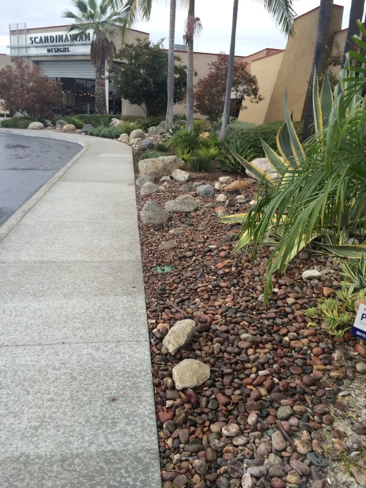 Professional lawn care service for beautiful yards across San Diego, CA - Allison Landscaping