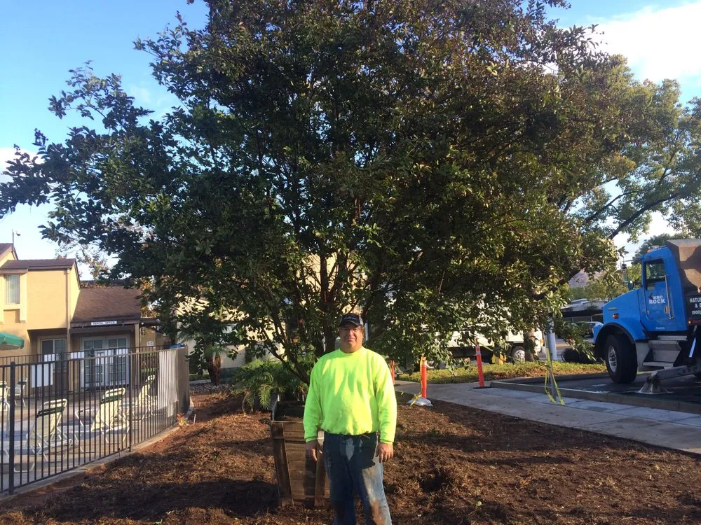 Local landscaping services with custom design in San Diego, CA by Allison Landscaping