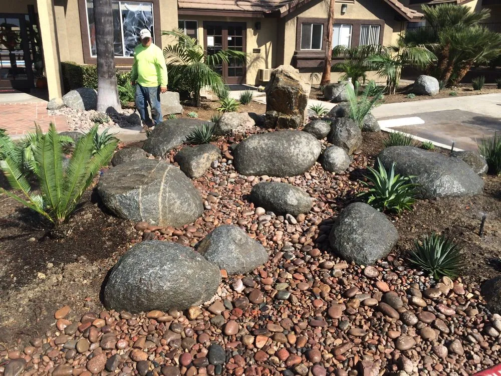 Affordable yard maintenance near you in San Diego, CA by Allison Landscaping