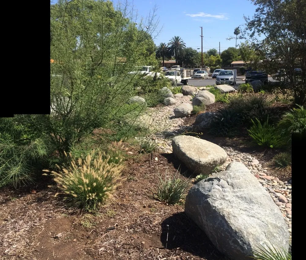 Custom landscape design experts serving San Diego, CA - Allison Landscaping