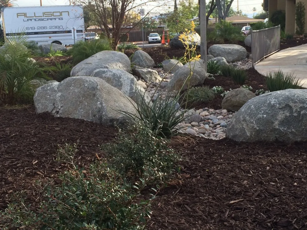 Reliable yard cleanup service for beautiful yards across San Diego, CA - Allison Landscaping