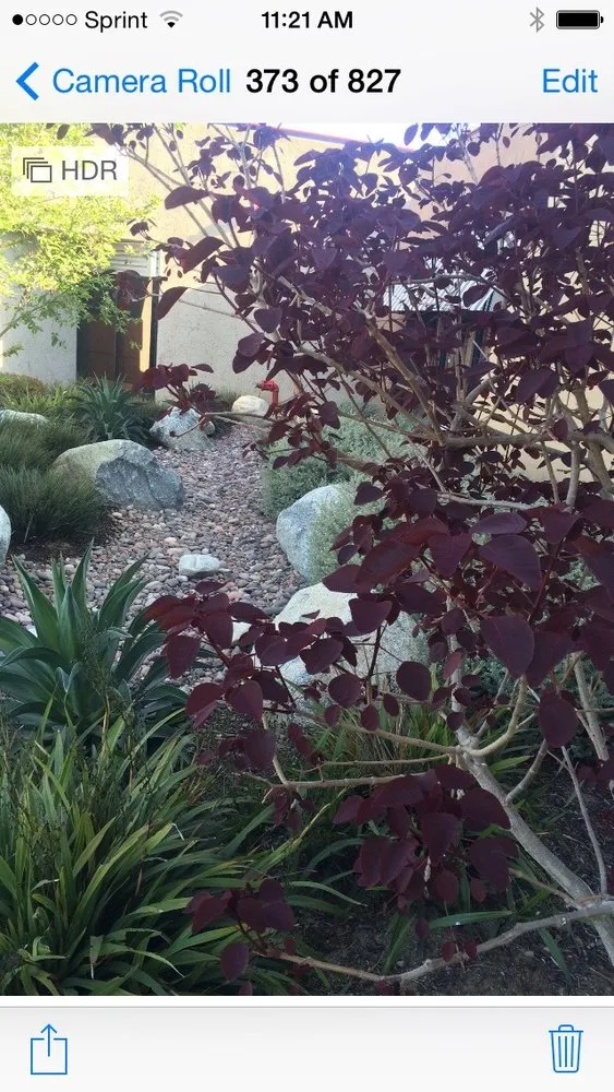 Trusted garden landscaping experts serving San Diego, CA - Allison Landscaping