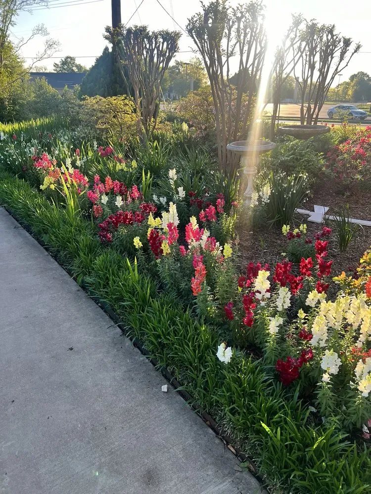 Reliable residential landscaping experts serving Lufkin, TX - Allison Lawn Service