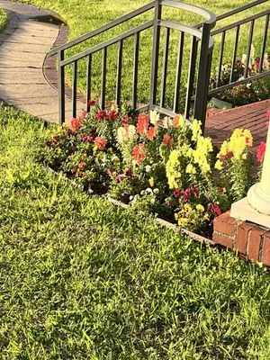 Allison Lawn Service Logo