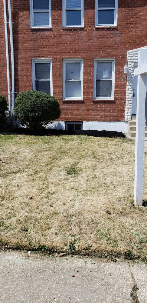 Trusted outdoor landscaping for outdoor upgrades in Gwynn Oak, MD by Allison Tree & Landscaping