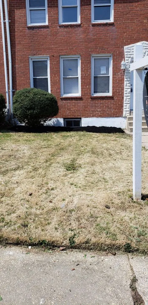 Custom outdoor landscaping for year-round maintenance across Gwynn Oak, MD - Allison Tree & Landscaping