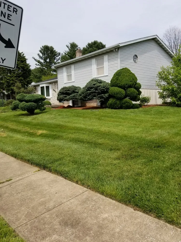 Custom lawn care service in Gwynn Oak, MD by Allison Tree & Landscaping
