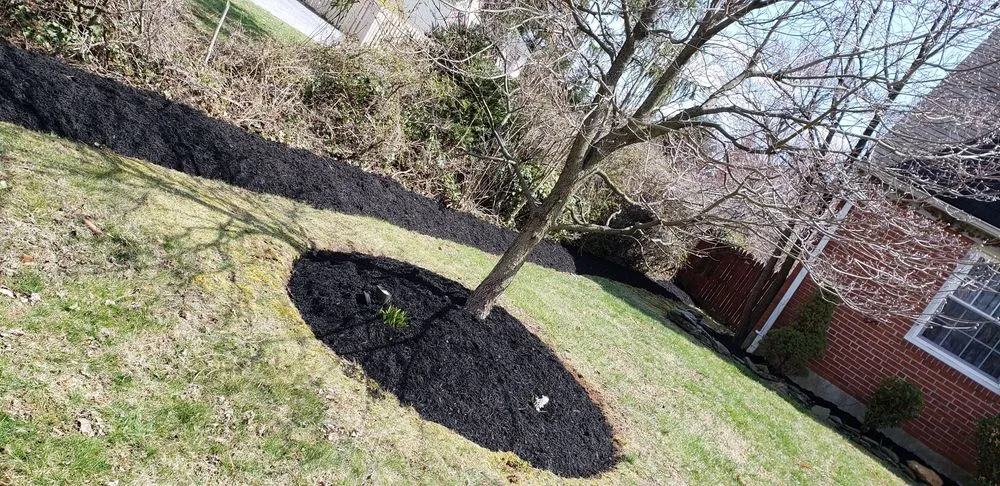 Reliable landscape design experts serving Gwynn Oak, MD - Allison Tree & Landscaping