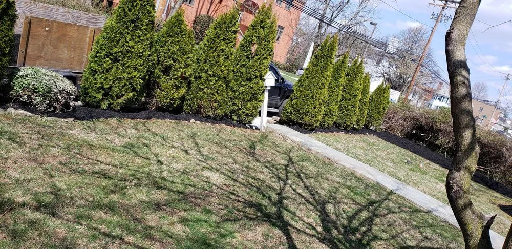 Professional landscaping services for year-round maintenance in Gwynn Oak, MD by Allison Tree & Landscaping