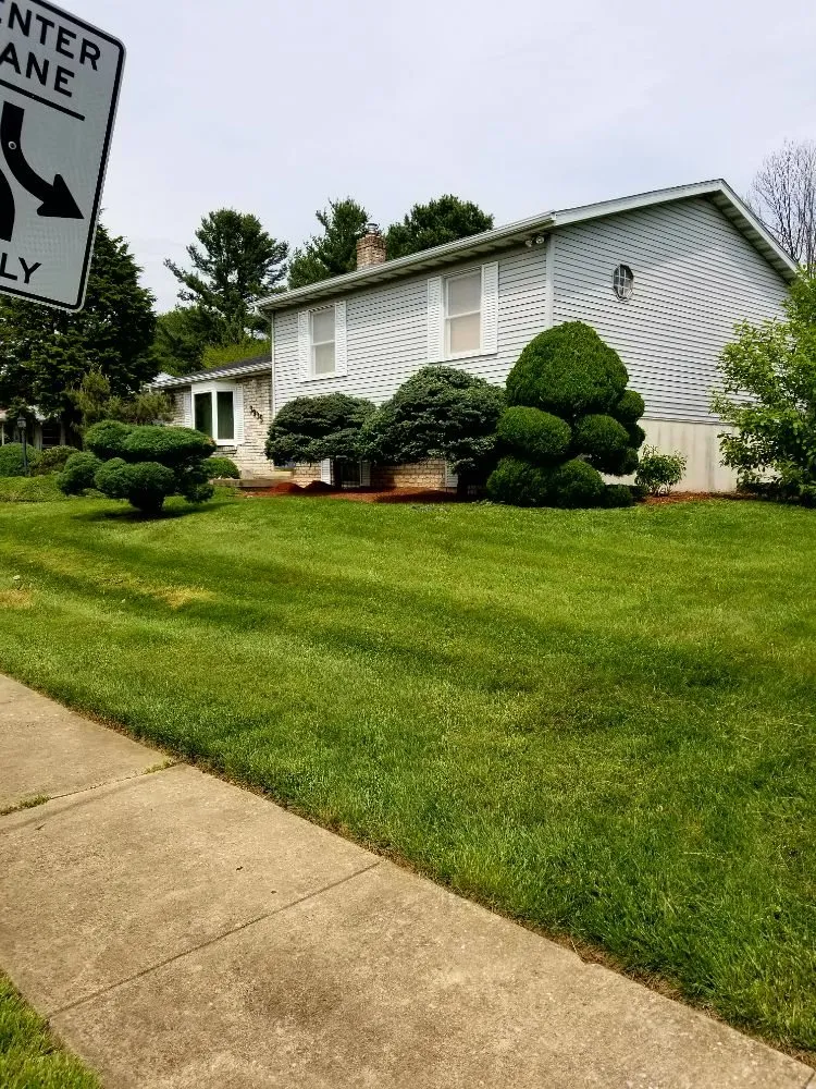 Local yard maintenance for residential properties across Gwynn Oak, MD - Allison Tree & Landscaping