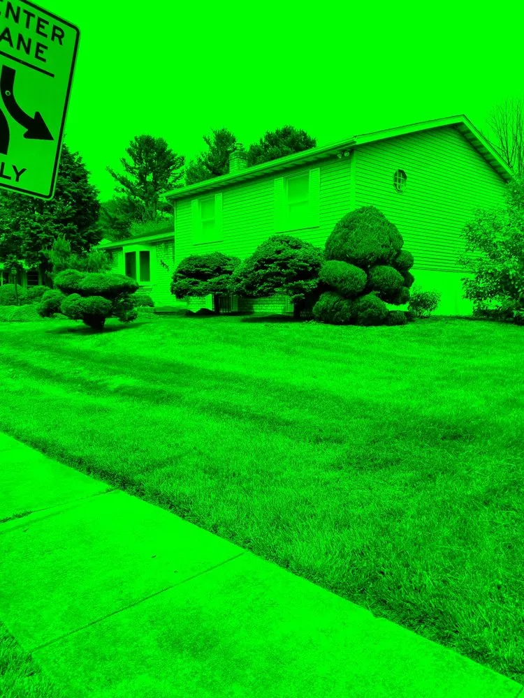 Expert lawn mowing service with custom design across Gwynn Oak, MD - Allison Tree & Landscaping