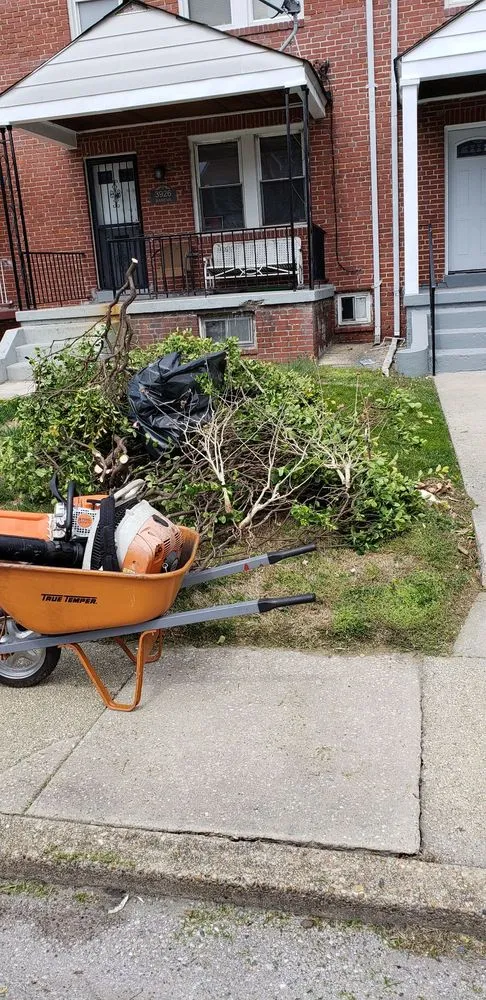 Expert lawn care service in Gwynn Oak, MD by Allison Tree & Landscaping