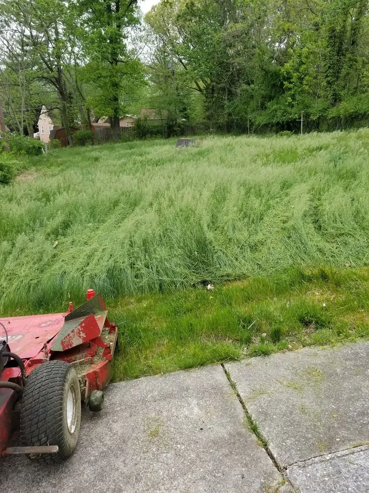 Trusted lawn mowing service experts serving Gwynn Oak, MD - Allison Tree & Landscaping
