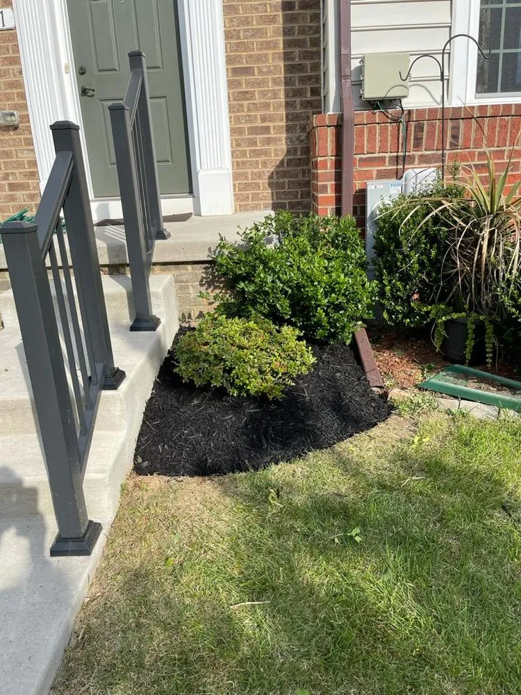 Top-rated yard maintenance experts serving Baltimore, MD - Allison Tree Services