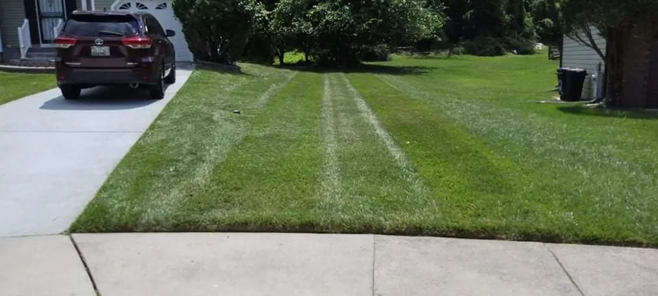 Trusted landscaping services for homes in Baltimore, MD by Allison Tree Services