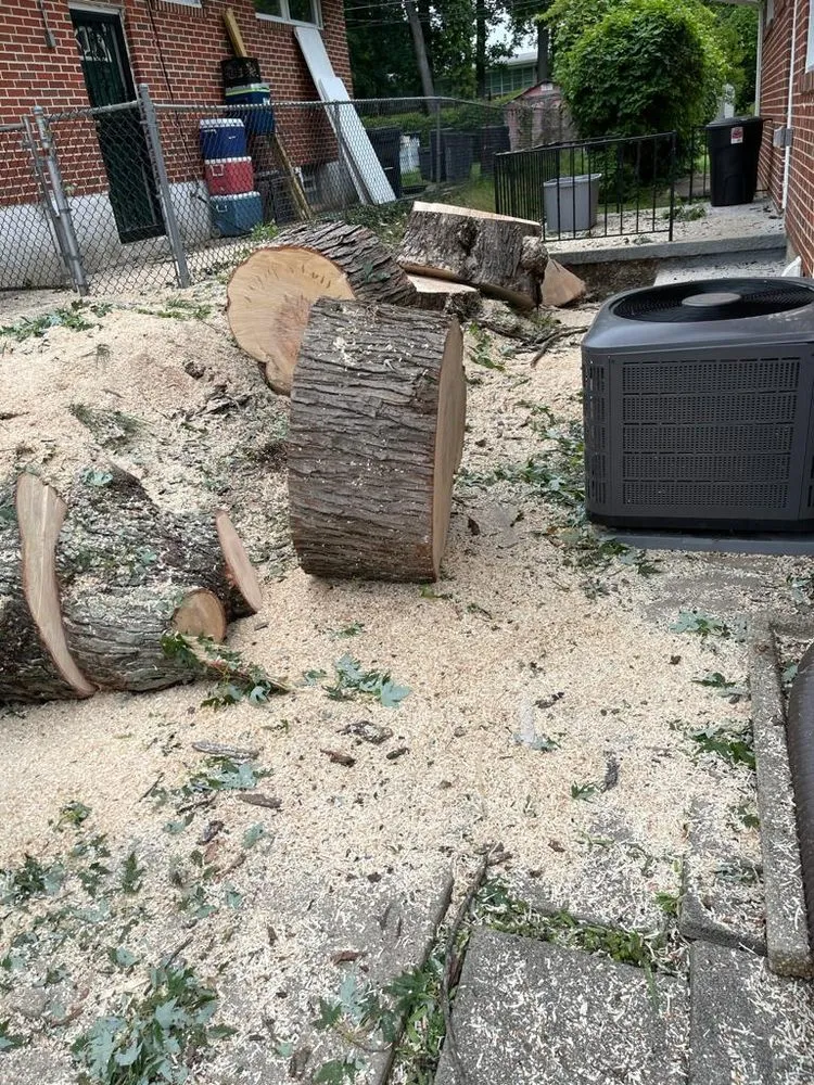 Custom landscape installation near you in Baltimore, MD by Allison Tree Services