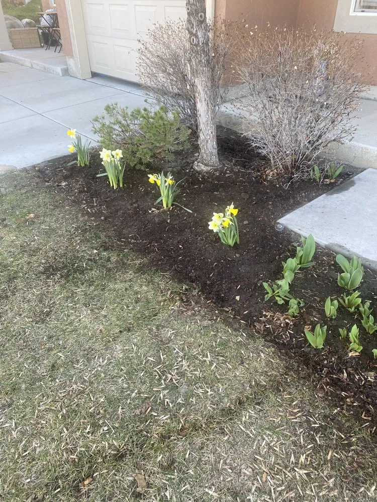 Trusted lawn mowing service with custom design across Herriman, UT - ALLL and Landscaping