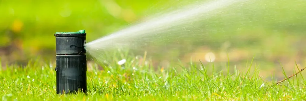 Reliable lawn care service for year-round maintenance in Panama City, FL by Allon Services