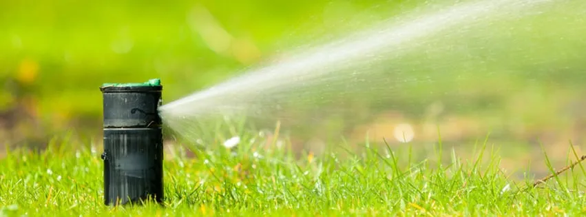 Professional yard cleanup service for beautiful yards in Panama City, FL by Allon Services