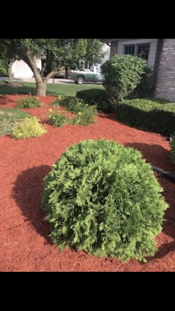 Custom outdoor landscaping for year-round maintenance across Lockport, IL - Allow Me Landscaping and Moving