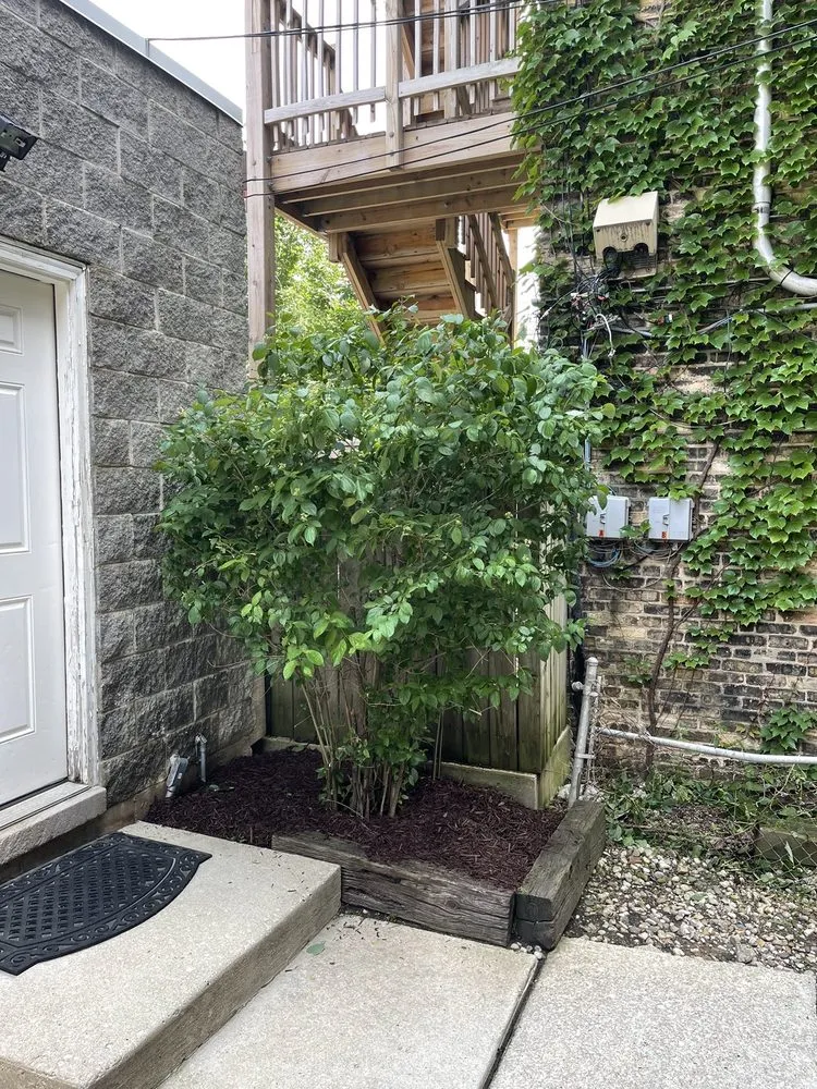 Professional outdoor landscaping for beautiful yards across Lockport, IL - Allow Me Landscaping and Moving