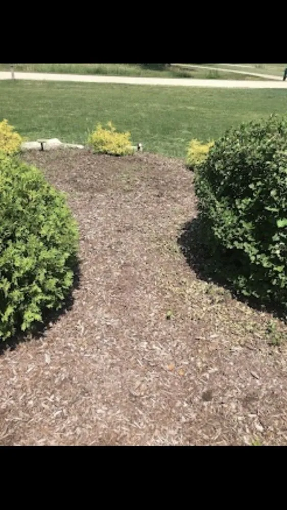 Trusted lawn mowing service in Lockport, IL - Allow Me Landscaping and Moving