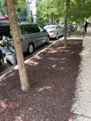 Allow Me Landscaping and Moving Logo