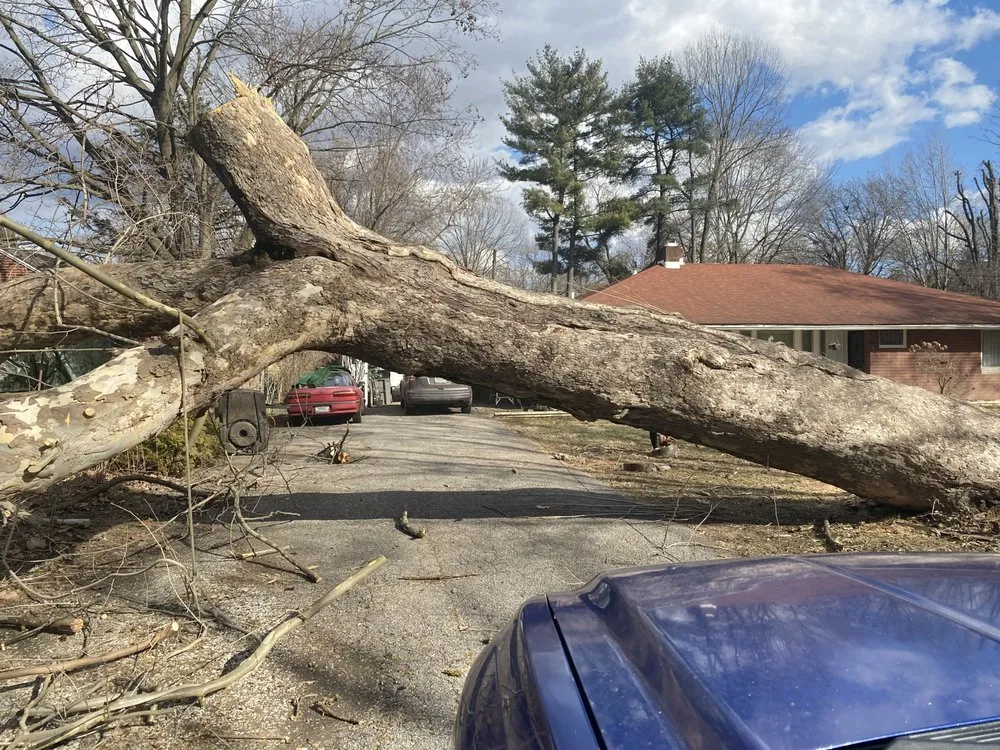 Trusted residential landscaping experts serving Greenfield, IN - AllPro Construction and Landscaping