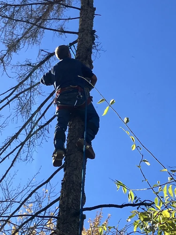 Affordable lawn mowing service experts serving Greenfield, IN - AllPro Construction and Landscaping