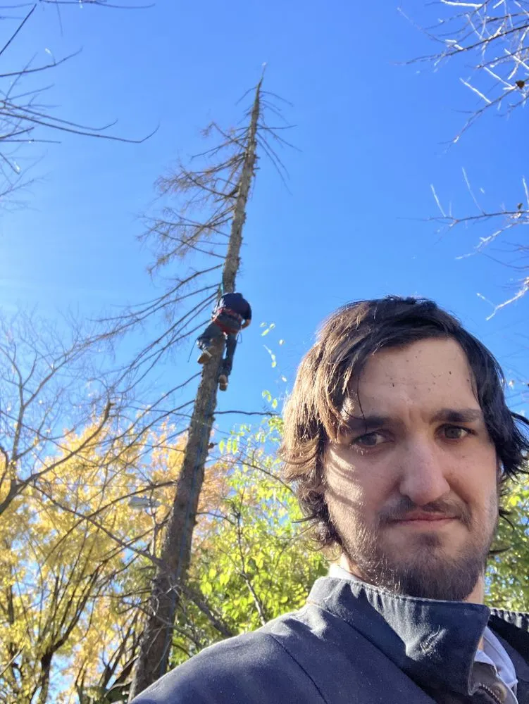 Affordable residential landscaping experts serving Greenfield, IN - AllPro Construction and Landscaping