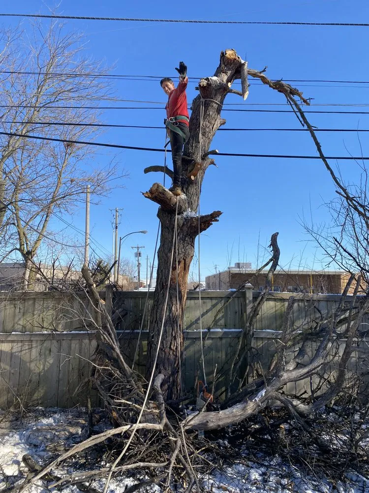 Custom residential landscaping in Greenfield, IN by AllPro Construction and Landscaping