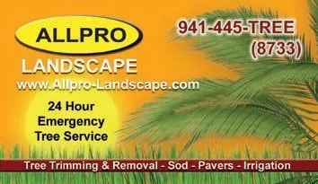 Professional landscape design in Bradenton, FL by Allpro Landscape Services