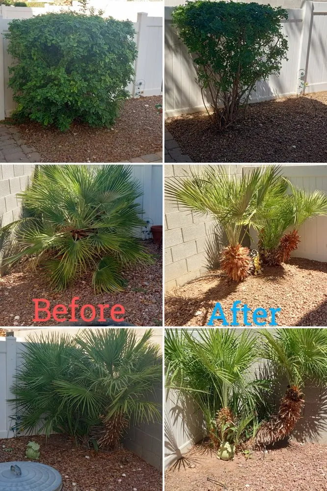 Expert garden landscaping for outdoor upgrades across Henderson, NV - Allpro Martinez Bros