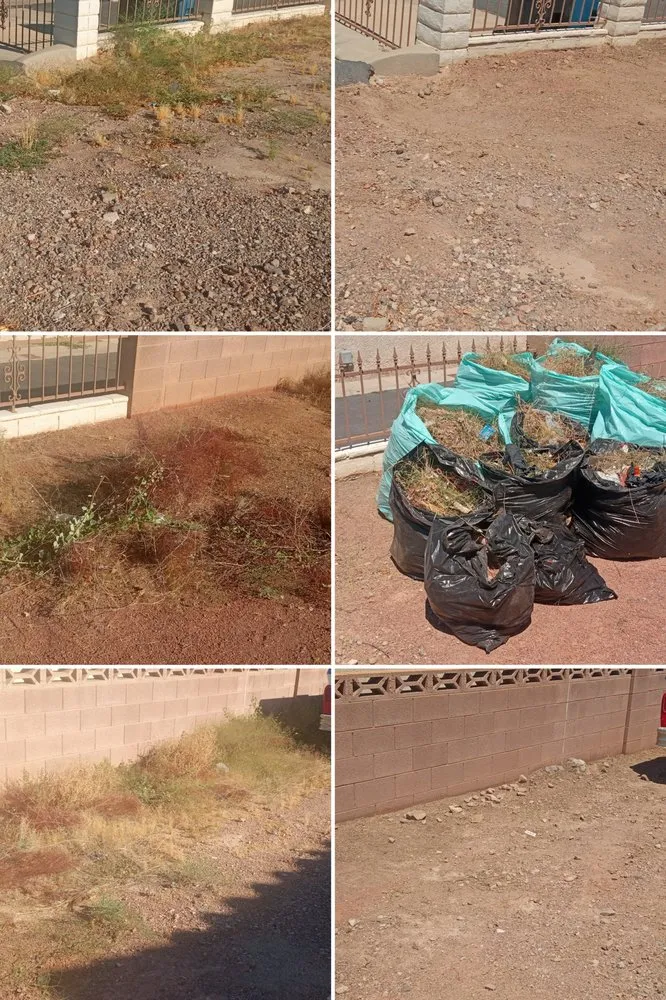 Trusted outdoor landscaping with custom design in Henderson, NV by Allpro Martinez Bros