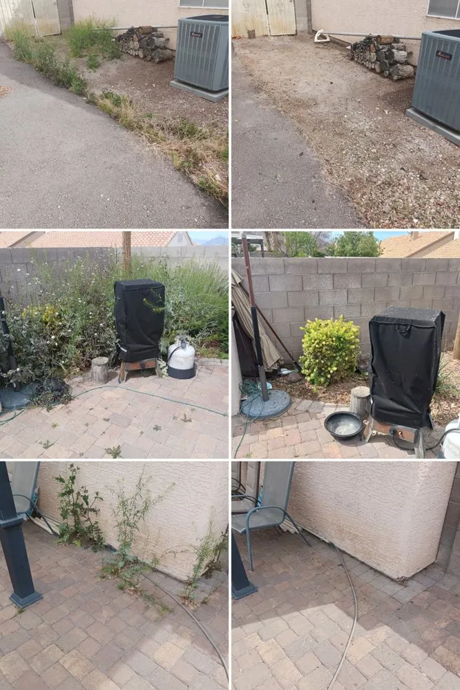 Affordable yard maintenance in Henderson, NV by Allpro Martinez Bros