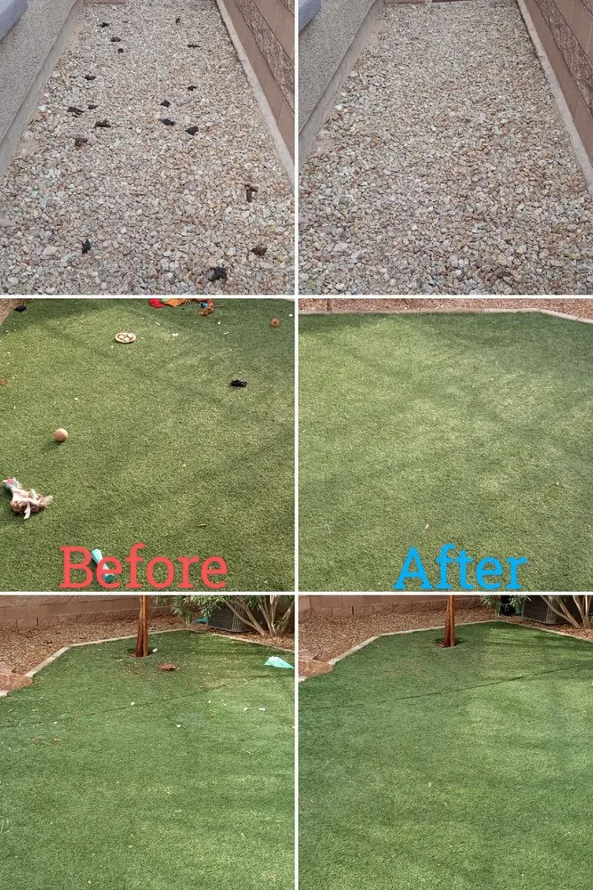 Professional residential landscaping near you across Henderson, NV - Allpro Martinez Bros