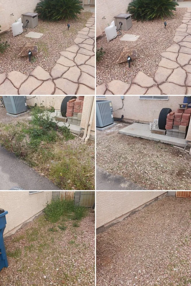 Reliable landscape design with custom design in Henderson, NV by Allpro Martinez Bros