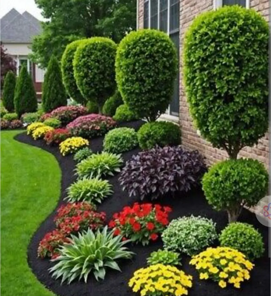 Top-rated yard cleanup service experts serving San Antonio, TX - AllPro Services