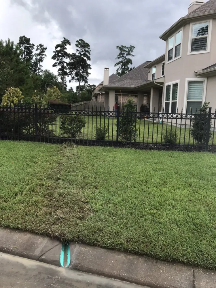 Custom landscape installation for year-round maintenance in Willis, TX by AllPro Sprinklers