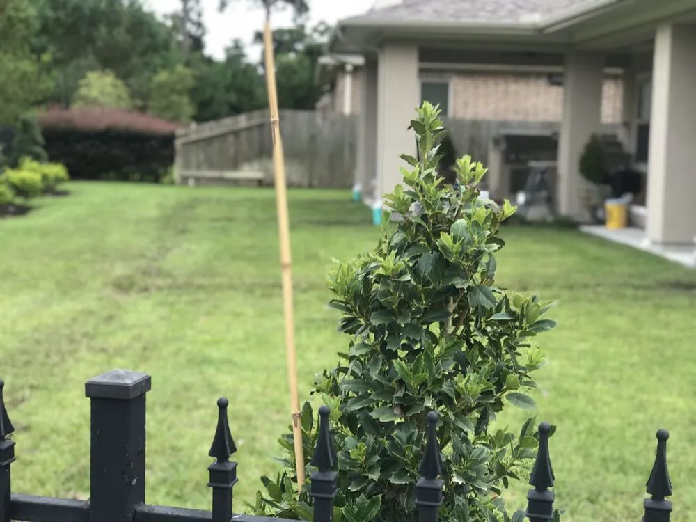 Trusted outdoor landscaping with custom design in Willis, TX by AllPro Sprinklers